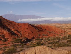 20211220223232 Los Cardones National Park orange sandstone landscape